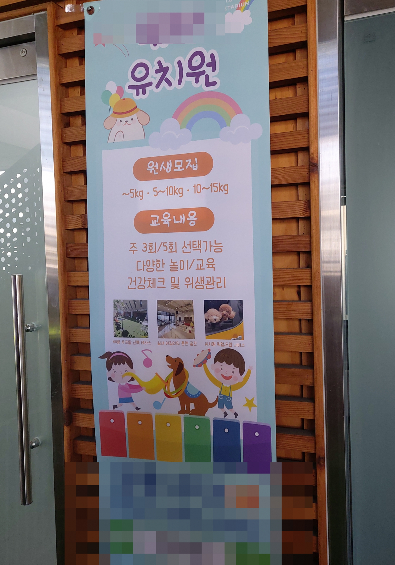 서울의 한 반려견 유치원의 원생 모집 안내. 사람이 다니는 유치원 못지않다. 김희량 기자