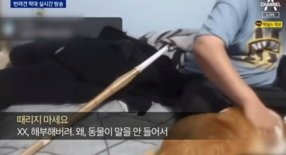 채널A 캡처