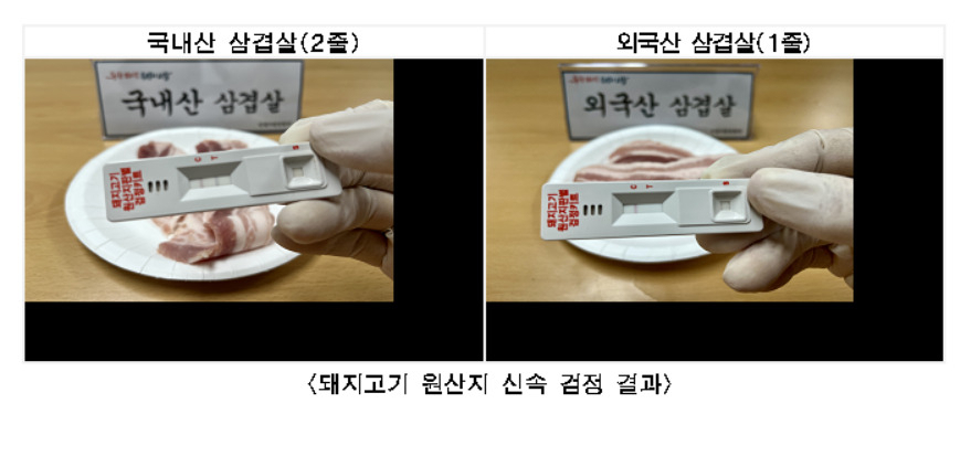 서울시 민생사법경찰단은 설 명절을 앞두고 이달 말부터 원산지 허위표시와 불법대부업 집중단속에 나선다고 23일 밝혔다. 사진은 외국산 돼지고기 단속.[서울시 제공]