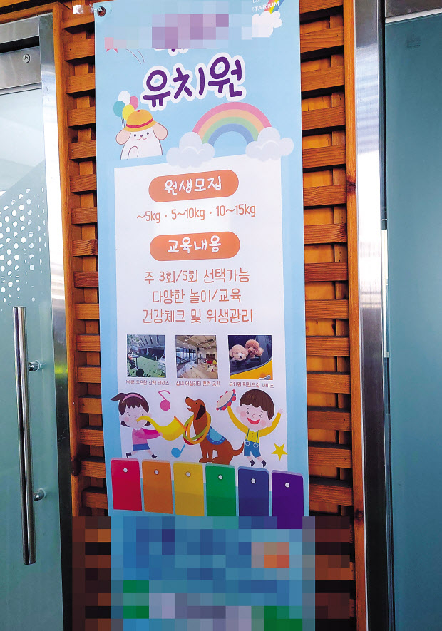 서울의 한 반려견 유치원의 원생 모집 안내 김희량 기자