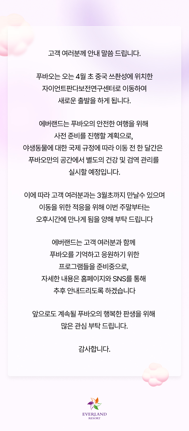 삼성물산 리조트부문이 운영하는 에버랜드는 23일 홈페이지와 소셜미디어를 통해 푸바오의 이동 일정을 발표했다. [삼성물산 제공]