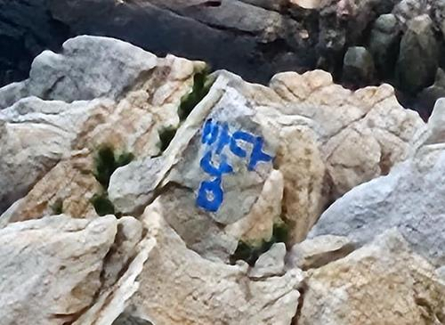 울산 대왕암공원 바위에 적힌 '바다남' 낙서. [울산 동구 제공]