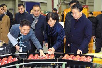 송미령(가운데) 농림축산식품부 장관이 23일 충북 충주에 소재한 국내 최대 과수 거점 산지유통센터를 방문해 과일 설 성수품 수급 상황을 점검하고 있다. [농림축산식품부 제공]