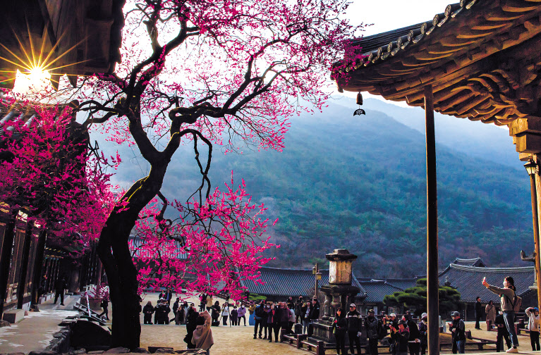 ์ฒ์ฐ๊ธฐ๋
๋ฌผ ์ง์ ๋ ๊ตฌ๋ก ํ์์ฌ 'ํ๋งคํ' - ํค๋ด๋๊ฒฝ์ 