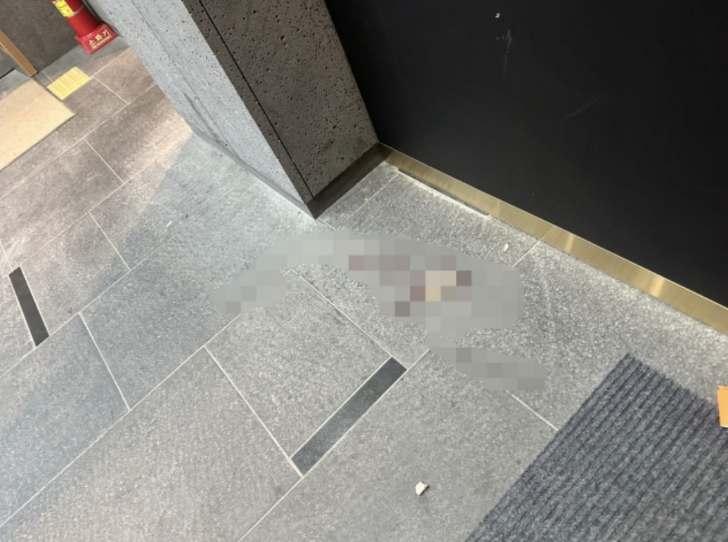 배현진 국민의힘 의원이 25일 오후 괴한에게 피습을 당한 현장. [연합]