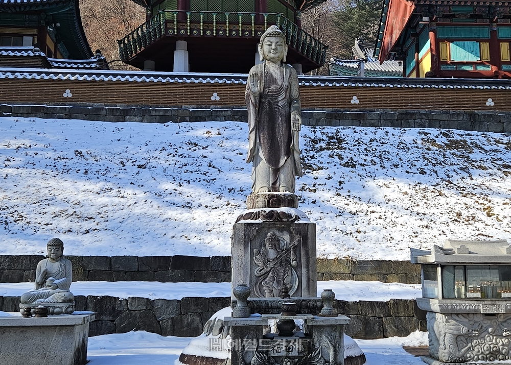 구룡사의 부처상과 거북상