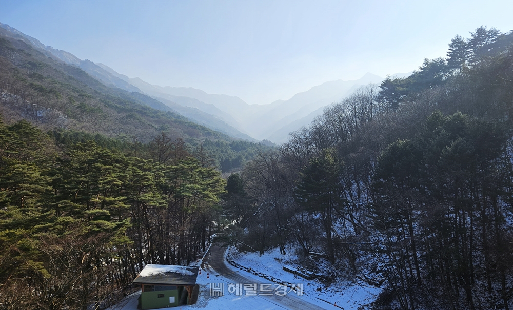 전망대 타워에서 바라본 치악산 산세