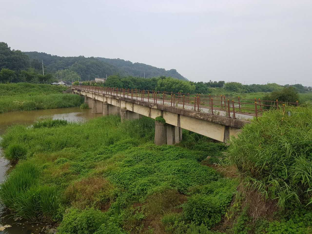 달빛철도특별법 통과