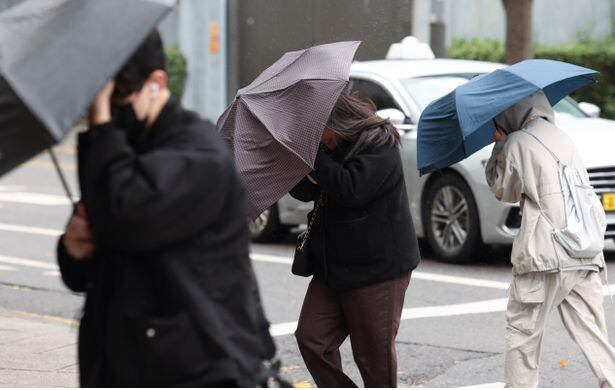 지난해 12월 초여름 수준의 비가 내렸다.[뉴시스]