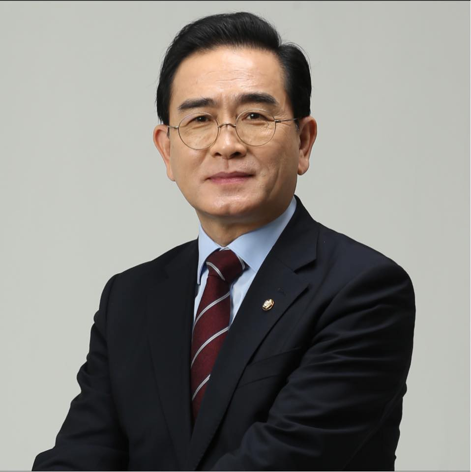 태영호 국민의힘 의원. [헤럴드DB]