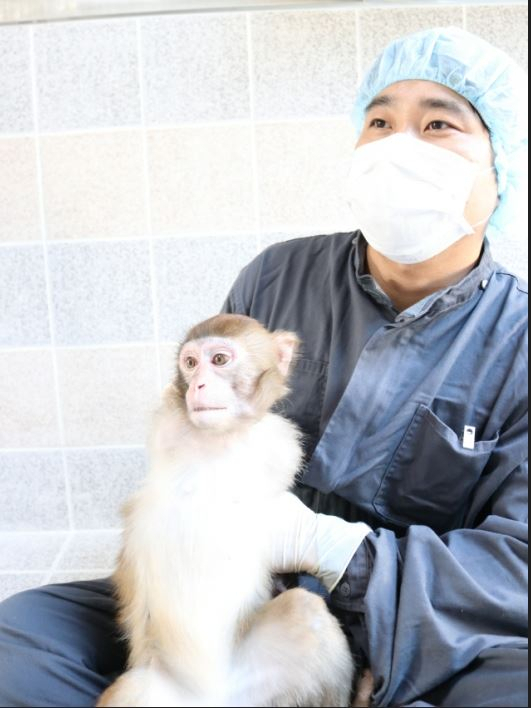 생명연 영장류자원지원센터 사육사가 붉은털원숭이를 안고 있다.[제공=한국생명공학연구원]