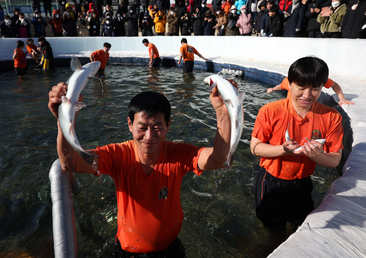강원 화천군 화천읍 화천천 일원에서 진행 중인 국내 대표 겨울 축제인 '2024 얼음나라 화천 산천어축제'를 찾은 관광객들이 맨손 고기 잡기를 체험하고 있다. [연합]