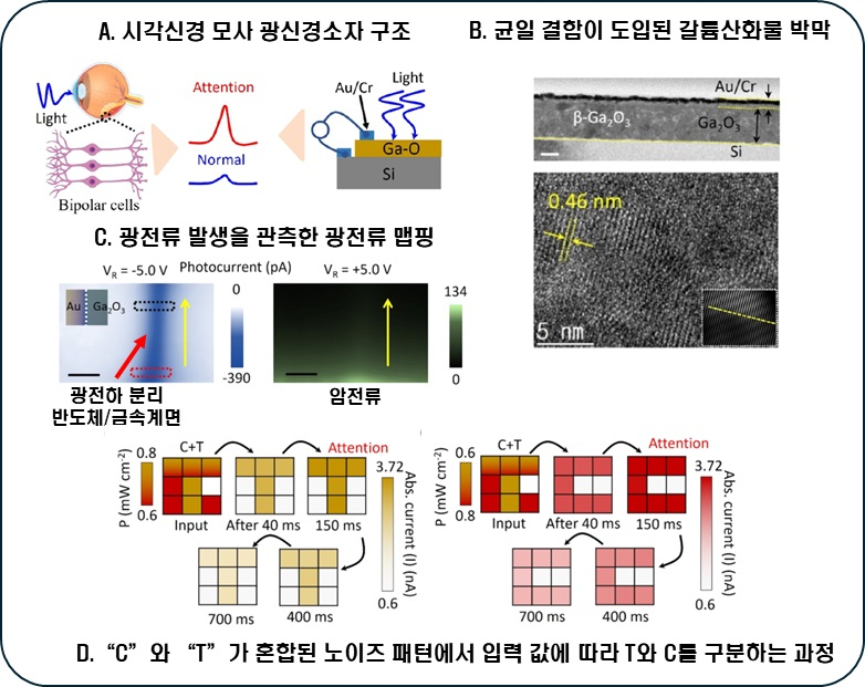 서형탁 교수팀 연구 이미지