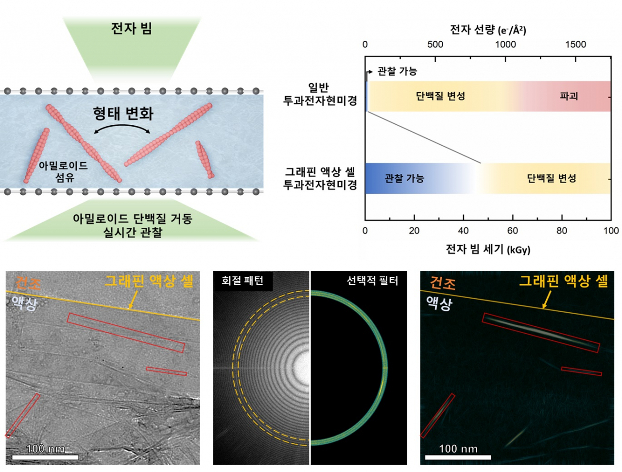 단분자 그래핀 액상 셀 전자현미경 모식도.[KAIST 제공]
