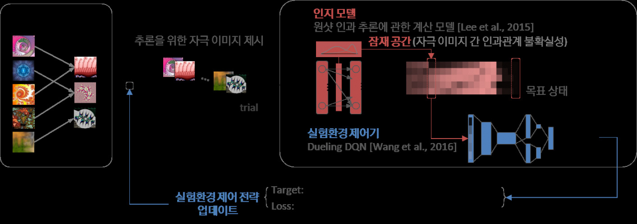 KAIST가 개발한 뇌 기반 인공지능 기술 모식도.[KAIST 제공]