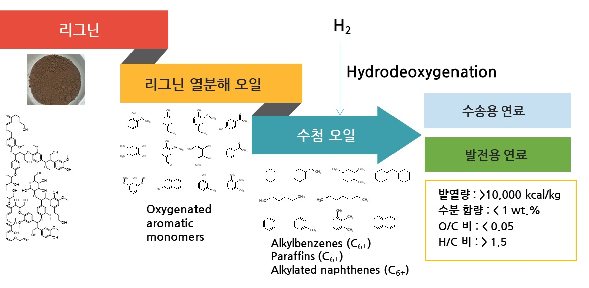 리그닌의 열분해 및 수첨 업그레이딩을 통한 드롭인 바이오연료 생산 공정 모식도.[부산대학교 제공]