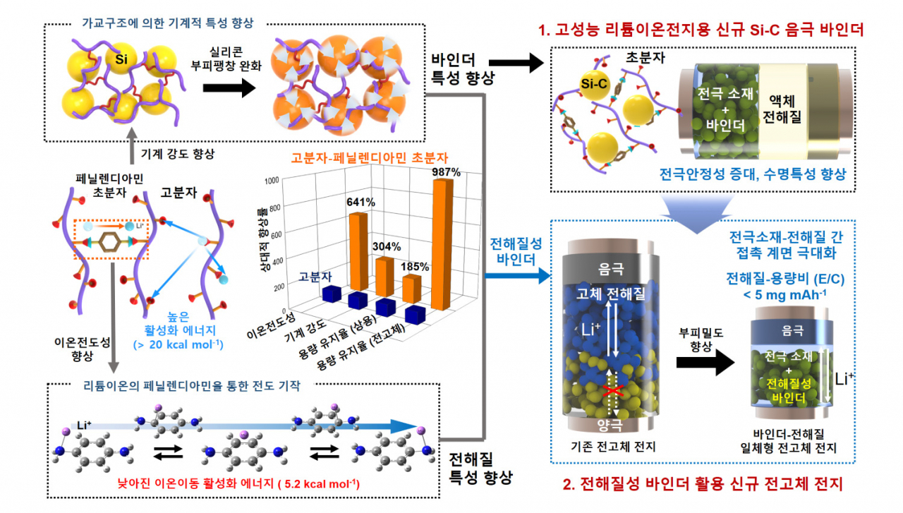 [성균관대 제공]