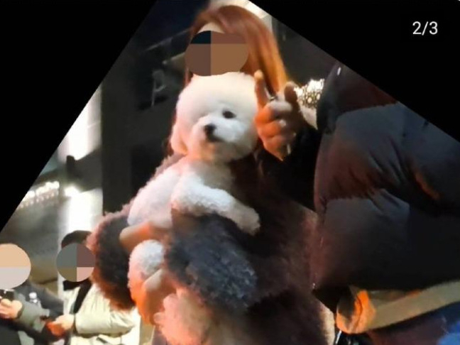 지난 3일 새벽 4시 40분께 서울 강남구 논현동서 만취한 20대 여성이 차량으로 오토바이를 들이받아 오토바이 운전자 50대 남성이 숨졌다. 사고 당시 가해 여성이 반려견을 끌어안은 채 사고 현장을 바라보는 모습을 한 목격자가 사진으로 찍어 온라인 커뮤니티에 올렸다. [보배드림 갈무리]