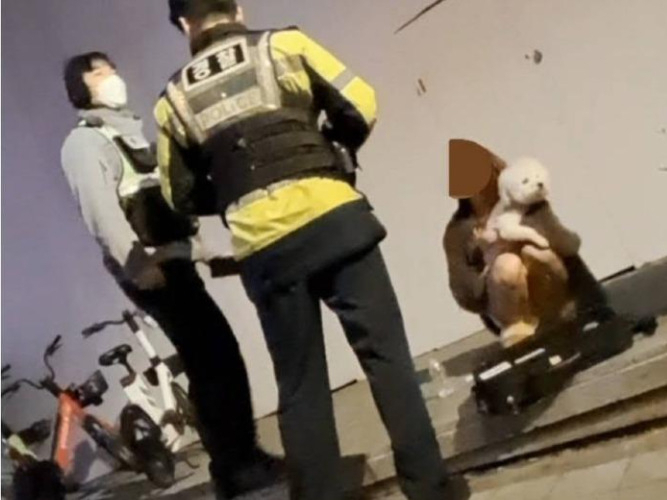 사고 당시 가해 여성이 반려견을 끌어안은 채 길에 꿇어 앉아 있다. 한 목격자가 사진으로 찍어 온라인 커뮤니티에 올린 것으로 목격자는 "가해 여성이 경찰한테 협조도 안 하고, 경찰이 강아지를 분리하려고 하자 싫다고 했다"고 주장했다. [보배드림 갈무리]