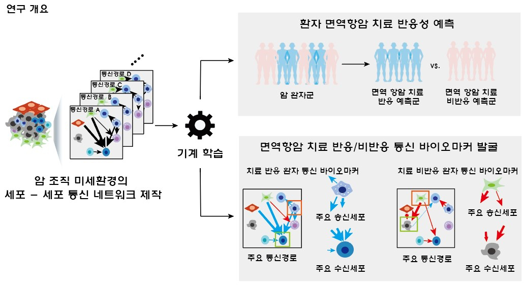 세포 간 통신 네트워크에 기반한 면역항암제 치료 반응을 예측하기 위한 바이오마커 발굴 인공지능 개발 모식도.[POSTECH 제공]