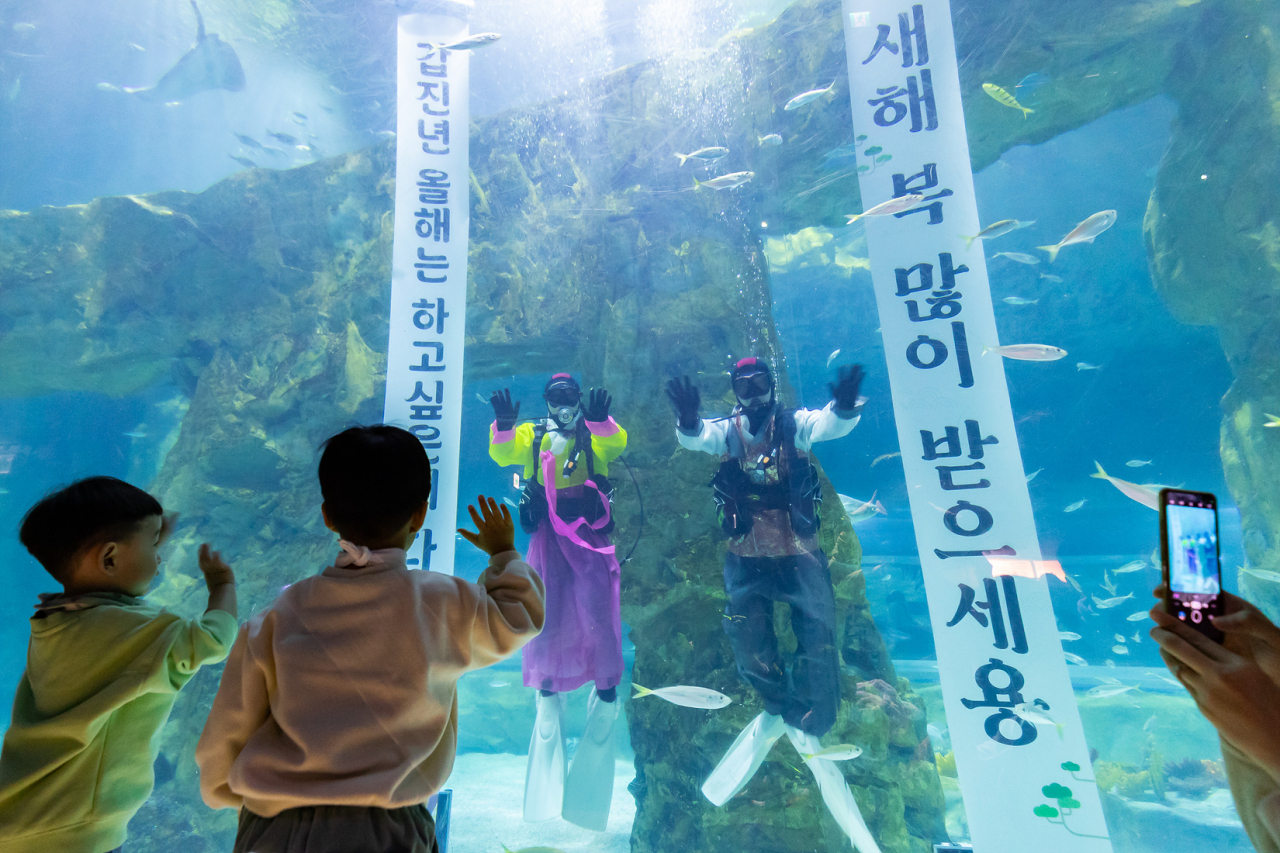 롯데월드 아쿠아리움은 설 연휴를 맞아 한복을 입은 아쿠아리스트의 수중 퍼포먼스를 진행한다. [롯데월드 제공]