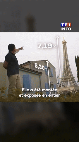 [TF1+ 갈무리]