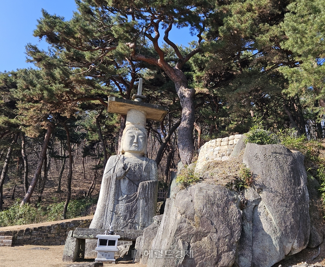 석불 바로 옆에는 바위틈을 비집고 자라난 아름다운 노송 한 그루가 있다. 마치 석불 머리 위로 우산을 받쳐 보호하는 것만 같다.