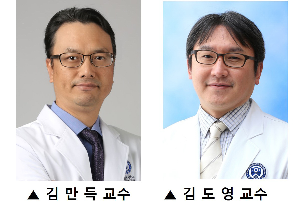 [세브란스병원 제공]