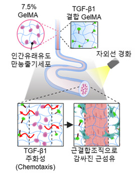 [성균관대 제공]