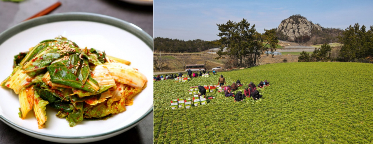 고기보다 맛있네! 강호동도 놀랐던 ‘이것’ [식탐]