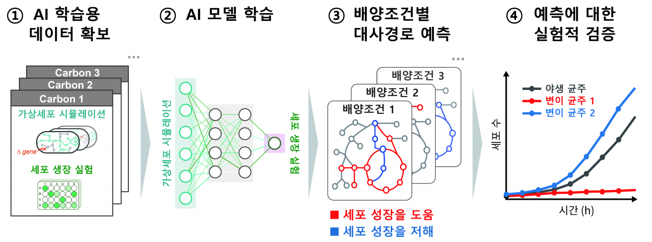 인공지능(AI)을 통한 핵심 대사반응 규명 과정 모식도.[건국대학교 제공]