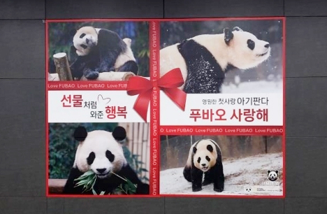 홍대입구역에 걸린 푸바오 광고 선물. [푸바오갤러리 운영진 제공]