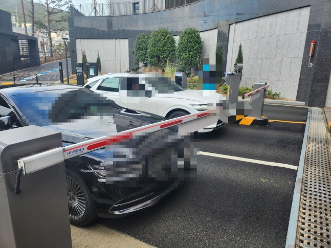 [얀힙]