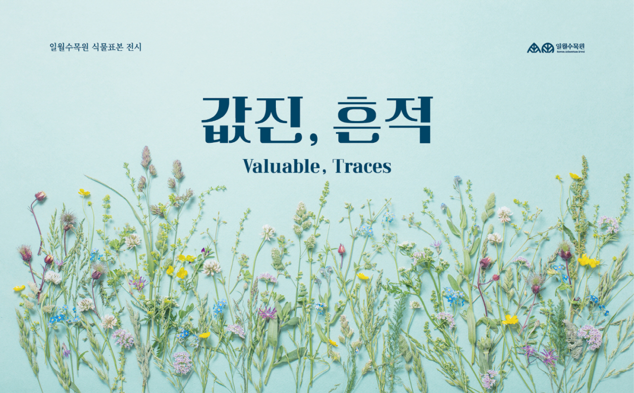 [수원시 제공]