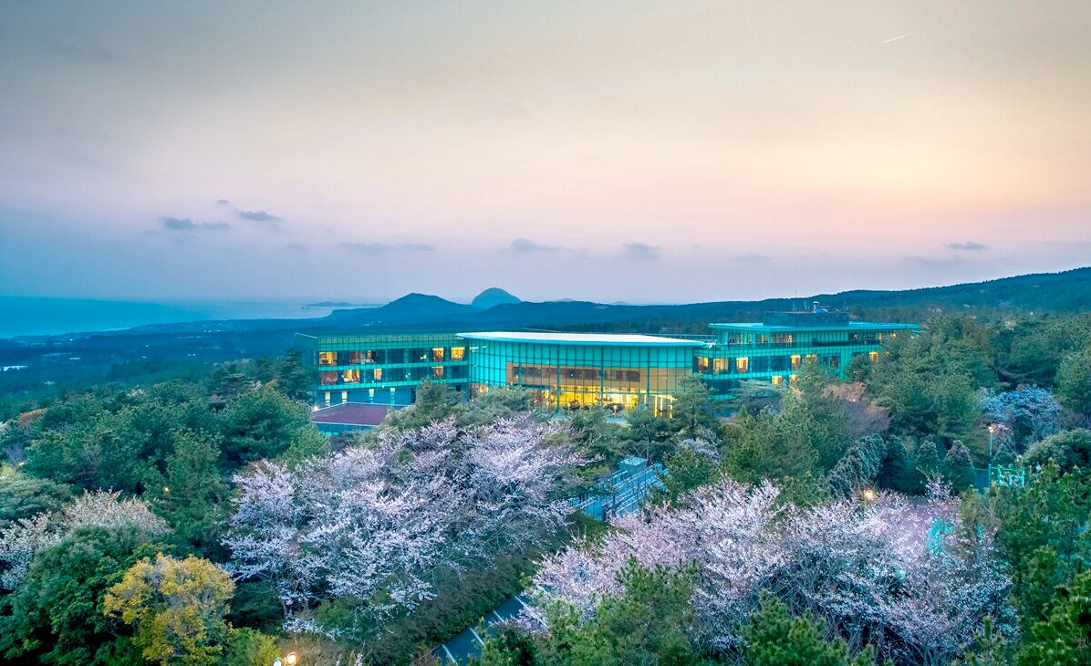 한라산을 뒤로 하고 멀리 산방산-용머리해안을 내려다 보는 위호텔 제주의 드넓은 숲엔 머지않아 벚꽃이 핀다