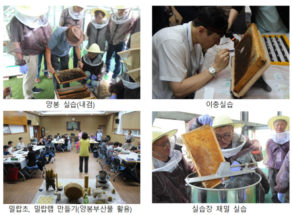 서울시농업기술센터는 양봉전문가 무료교육을 4~10월 실시한다고 19일 밝혔다.[서울시 제공]