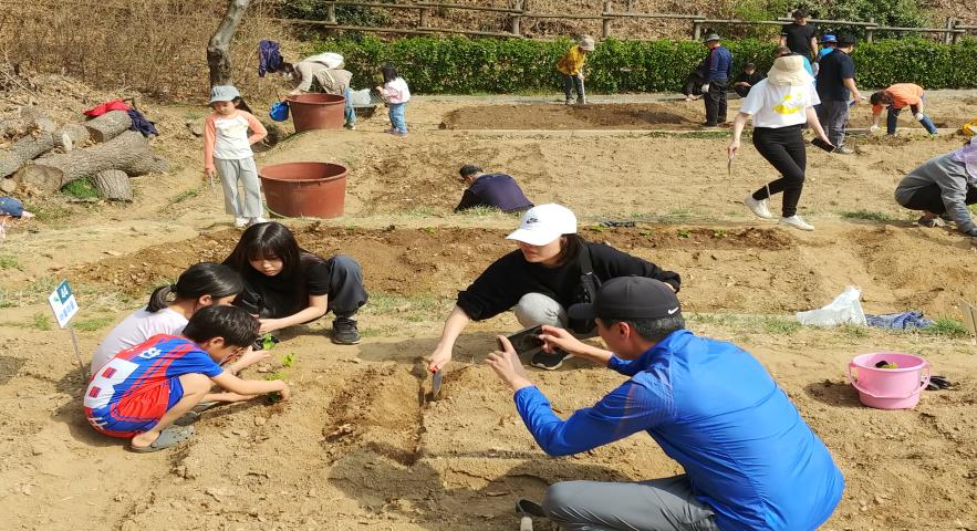 서울 은평구는 친환경 나눔텃밭을 3월4일 10시부터 은평구 홈페이지에서 신청 접수한다고 19일 밝혔다. 사진은 은평구 친환경 나눔텃밭 경작 장면.[은평구 제공]