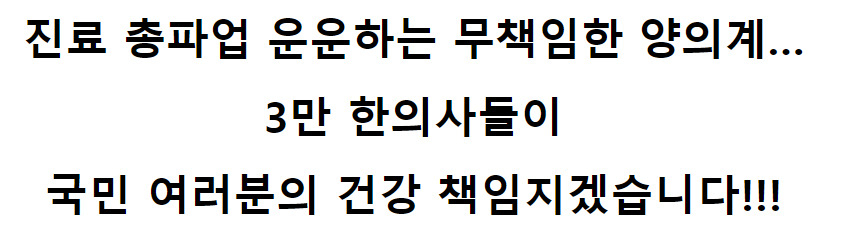 [대한한의사협회 제공]