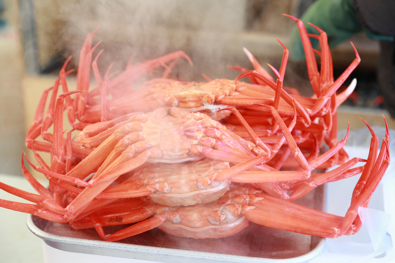 울진 붉은 대게