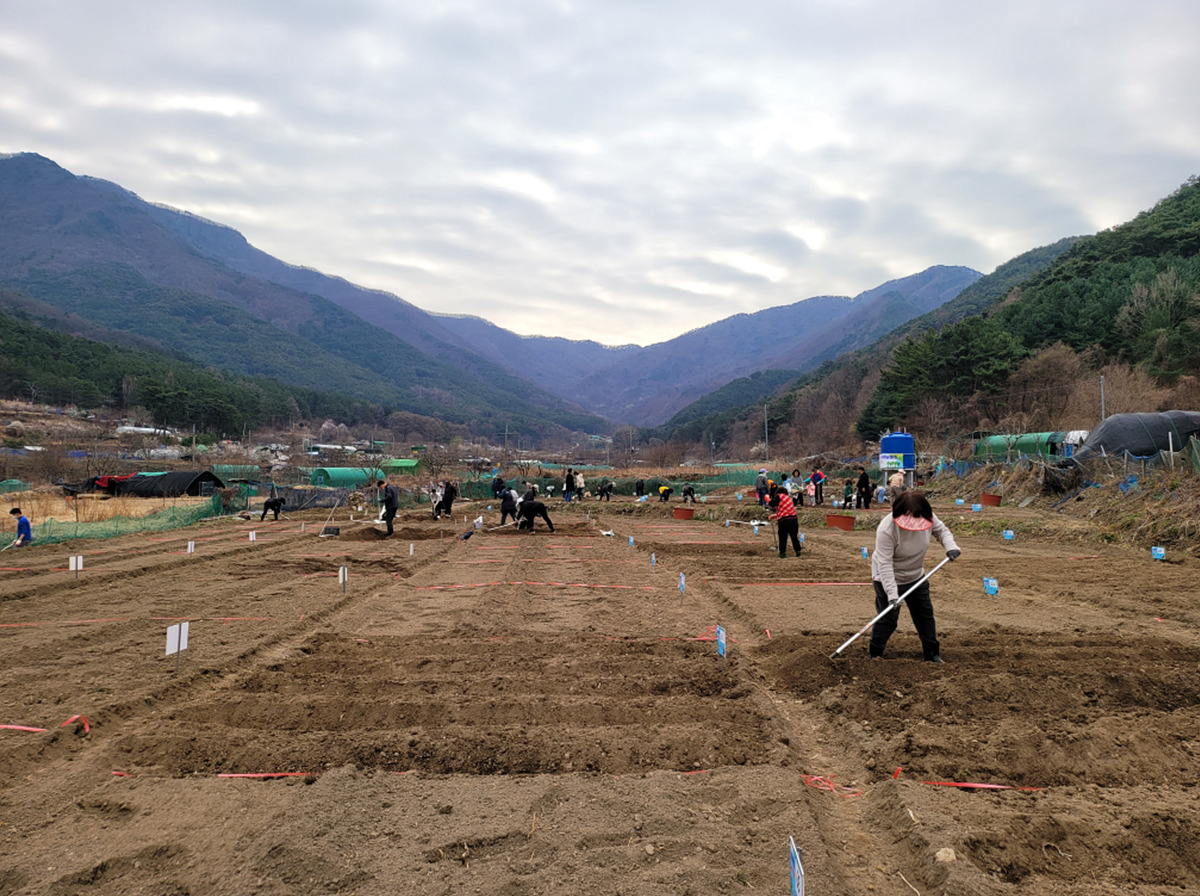 [대구시 제공]