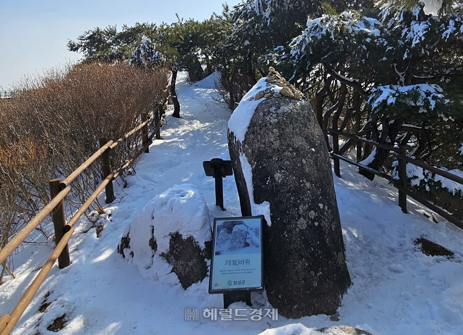 비슬산에서 만날 수 있는 각양각색의 암석들