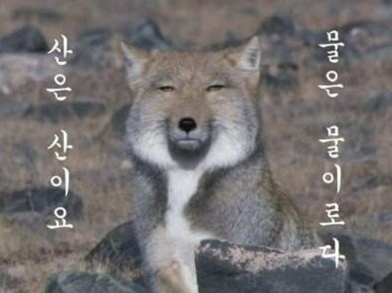 두 어머니가 무무씨를 키워야겠다고 결심케 한 사진. [온라인 커뮤니티 갈무리]