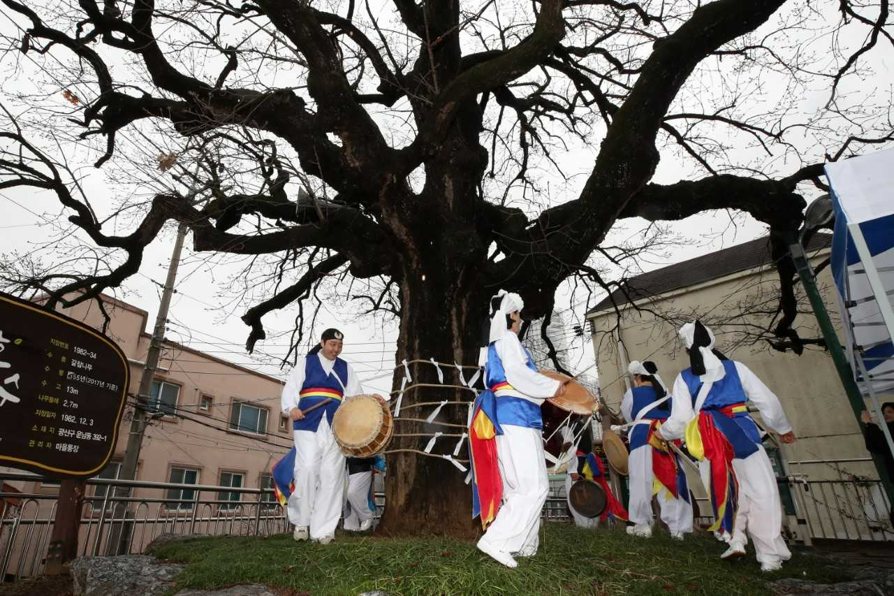 광주 광산구 운남동 정월대보름 당산제