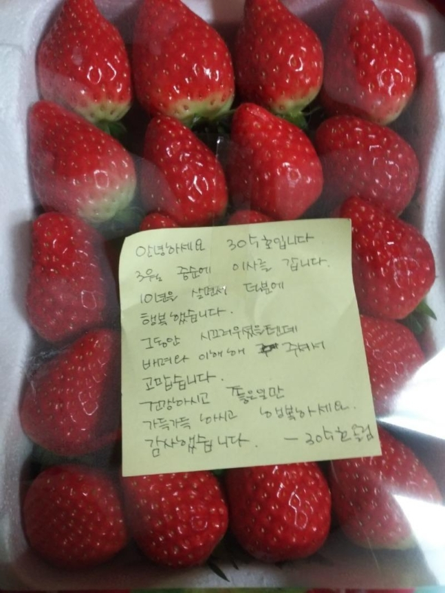 [온라인 커뮤니티 '보배드림']