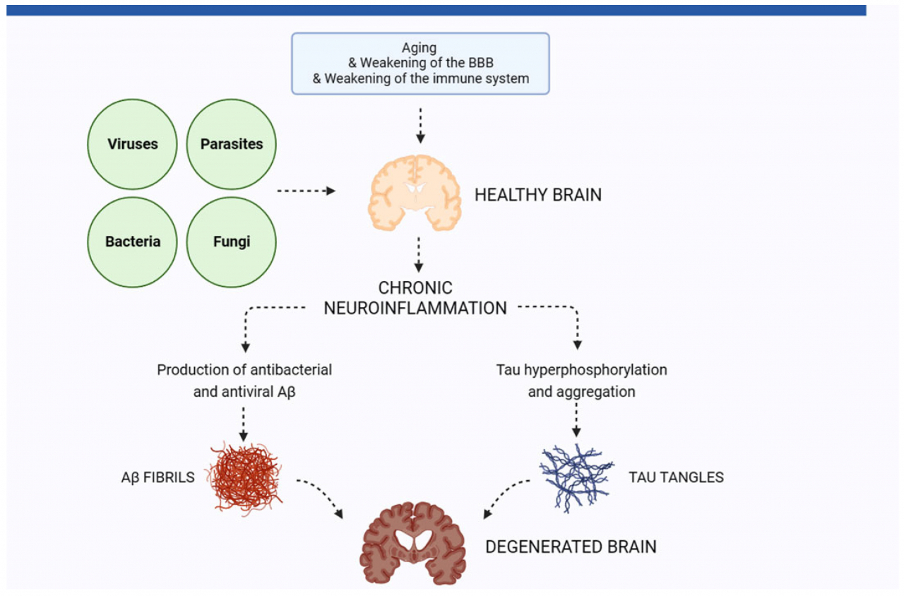 [출처 Biomolecules]