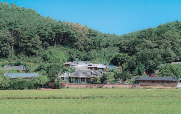 금계포란형 명당, 경북 봉화 닭실마을