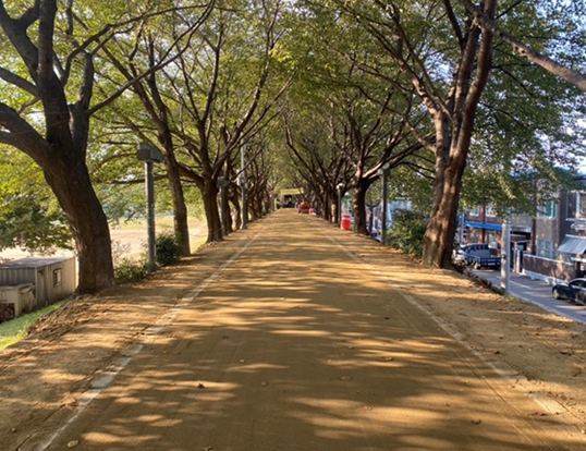 새로 조성된 맨발걷기 산책로 모습.[대구 동구 제공]