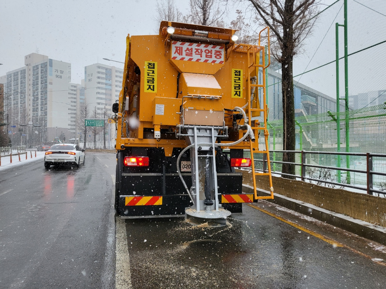 [강서구 제공]
