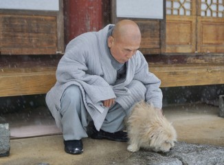 [EYE] A Buddhist temple where animal spirits find peace