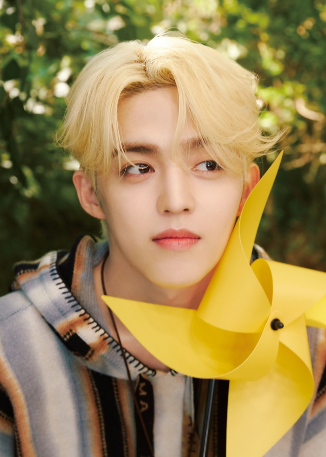 세븐틴 에스쿱스 [플레디스 엔터테인먼트 제공]
